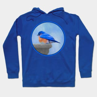 Bluebird Hoodie